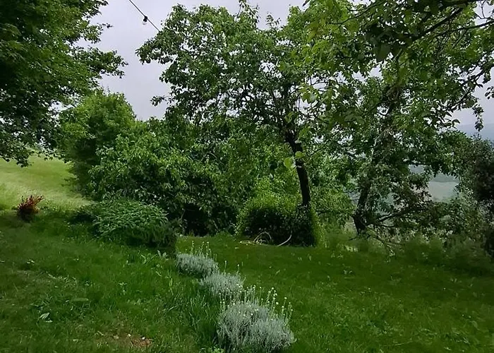 ベッド・アンド・ブレックファスト Casa Febe *